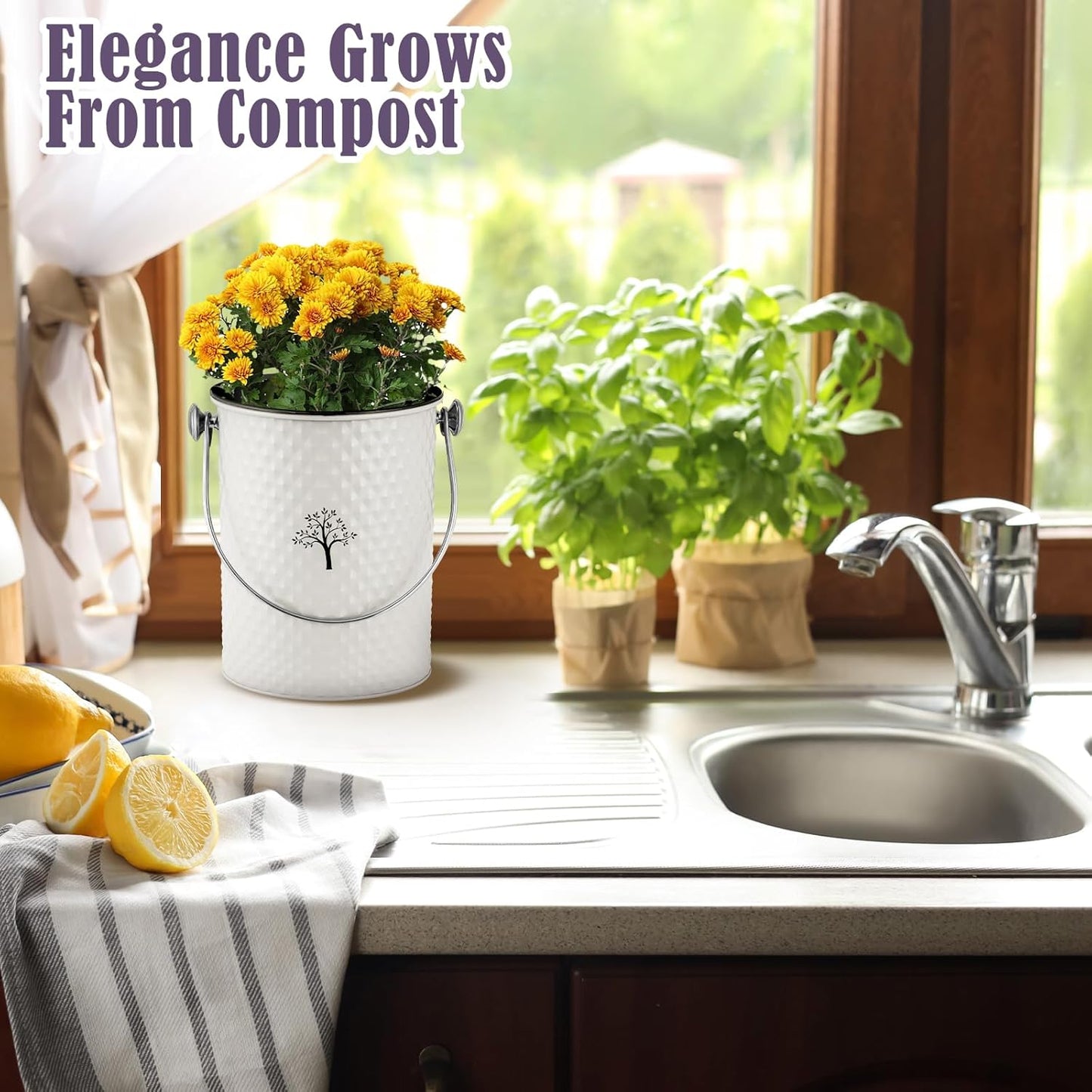 AOSION Countertop Compost Bin Kitchen,Odorless Indoor Compost Bin